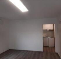 1Zimmer-Appartment Trierweiler-Sirzenich