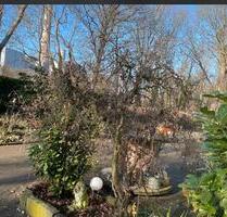 Schöne Wohnung im Grünen - 950,00&nbsp;EUR Kaltmiete, ca.&nbsp; 65,00&nbsp;m&sup2; in Voerde (Niederrhein) (PLZ: 46562)