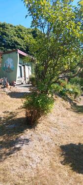 Foto - Grundstück zur Miete in Schmalkalden