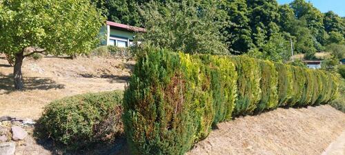 Foto - Grundstück in Schmalkalden