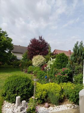 Foto - Einfamilienhaus in Hof zum Kaufen