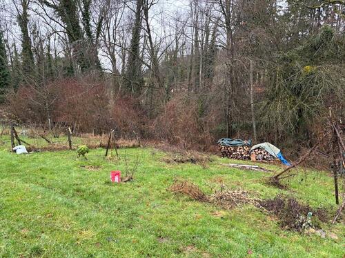 Foto - Grundst&uuml;ck in Markdorf