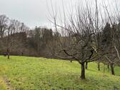 Foto - Grundst&uuml;ck in Markdorf zur Miete