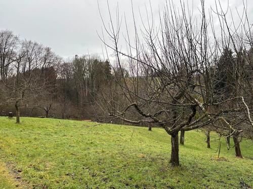 Foto - Grundst&uuml;ck in Markdorf zur Miete