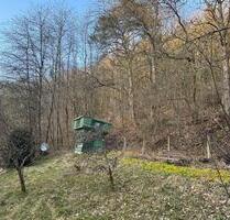 Freizeit Garten Grundstück mit Hütte - Suhl Aue 1