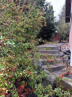 Foto - 6 Zimmer Einfamilienhaus zum Kaufen in Meiningen