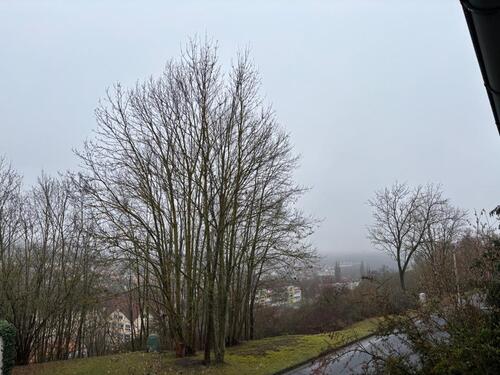 Foto - Einfamilienhaus in Meiningen zum Kaufen
