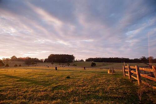 Foto - Ab sofort Ferienwohnung 2 Zi.-DG bei Berlin