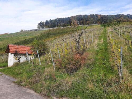 Foto - Grundstück zur Miete in Leutenbach