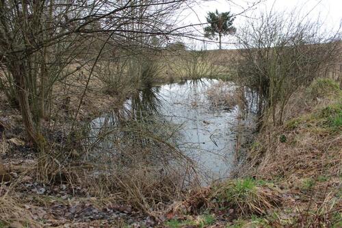 Foto - Gartengrundst., Streuobstwiese, Weide, Freizeitgrunds., Bienenh.
