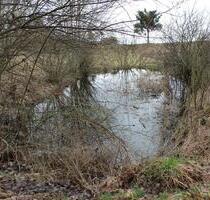 Gartengrundst., Streuobstwiese, Weide, Freizeitgrunds., Bienenh. - Spaichingen