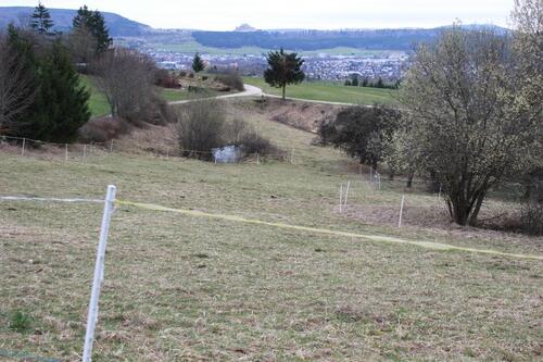 Foto - Grundst&uuml;ck zur Miete in Spaichingen
