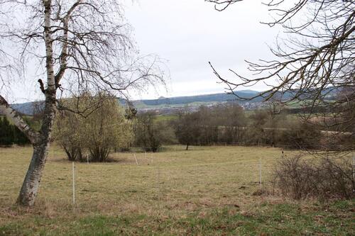 Foto - Grundst&uuml;ck in Spaichingen
