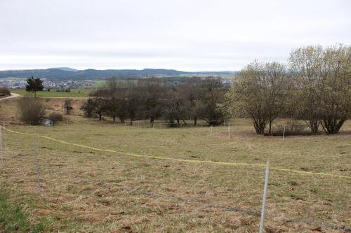 Foto - Grundst&uuml;ck in Spaichingen zur Miete