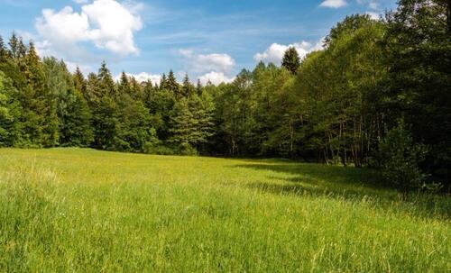 Foto - Grünland Wiese - 5,00&nbsp;EUR Kaltmiete, ca.&nbsp; 0,00&nbsp;m&sup2;
