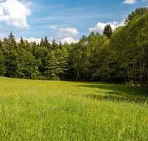 Grünland Wiese - 5,00&nbsp;EUR Kaltmiete, ca.&nbsp; 0,00&nbsp;m&sup2; in Haundorf (PLZ: 91729)