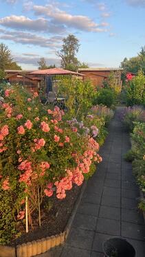 Foto - Gepflegter Kleingarten (300 m²) in Pirna