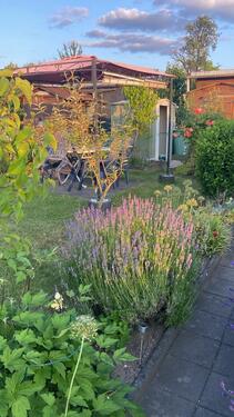 Foto - Grundst&uuml;ck in Dresden