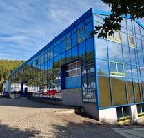 „320m² beheizte Lagerfläche mit Laderampe und Rolltor‟ - Steinbach-Hallenberg