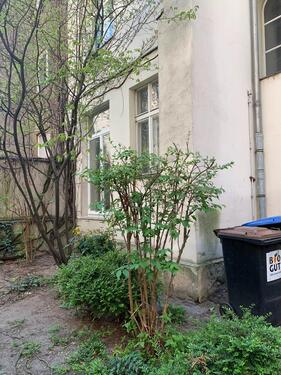 Foto - Etagenwohnung zum Kaufen in Berlin