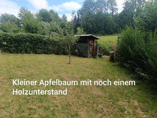 Foto - 