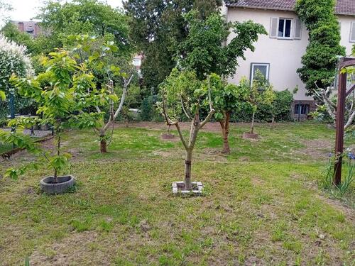 Foto - Zweizimmerwohnung innenstädtisch gelegen