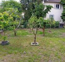 Zweizimmerwohnung innenstädtisch gelegen - Heilbronn