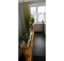 3- Zimmer Wohnung - 800,00&nbsp;EUR Kaltmiete, ca.&nbsp; 57,00&nbsp;m&sup2; in Springe (PLZ: 31832)