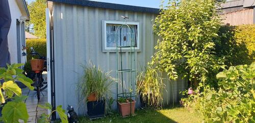 Foto - 