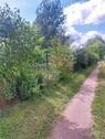 Foto - Garten abzugeben - 2.500,00 EUR Kaltmiete, ca.  0,00 m²