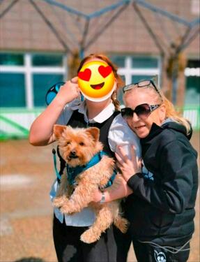 Foto - Wohnung Montabaur & Umgebung bis 15 km
