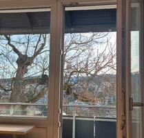 1,5 Zimmer Wohnung mit großem Balkon und tollem Weitblick - Stuttgart Botnang