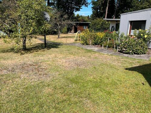 Foto - Einfamilienhaus in Wietze zum Kaufen