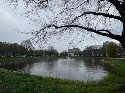 Foto - Exklusives Wohnen am Holzhafen: 3 ZKB mit Garten & Wasserblick