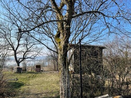 Foto - andere in Radolfzell am Bodensee zur Miete