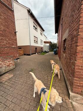 Foto - 7 Zimmer Einfamilienhaus in Ronshausen