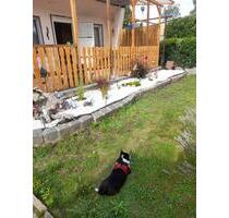 Garten Gartenlaube - 450,00&nbsp;EUR Kaltmiete, ca.&nbsp; 0,00&nbsp;m&sup2; in Dessau-Roßlau (PLZ: 06842)