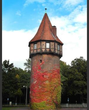 Foto - Zwischenmiete Hannover Südstadt – 2 Zimmer, teilmöbliert