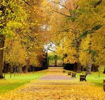Ruhige 1R-Wohnung in Magdeburg Herrenkrug mit Balkon & Stellplatz