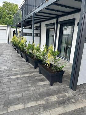 Foto - 2 Zimmer Erdgeschoßwohnung zur Miete in Bad Oldesloe