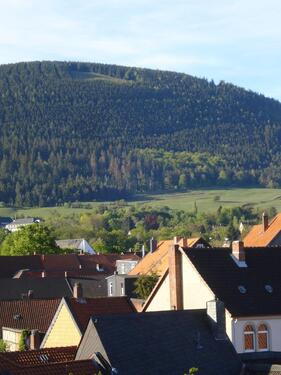 Foto - Charmante Dachgeschosswohnung mit Panoramablick in Goslar
