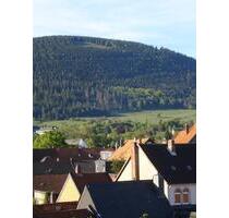 Charmante Dachgeschosswohnung mit Panoramablick in Goslar