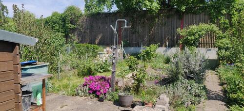 Foto - Kleingarten Schrebergarten zur Übernahme (KGV Flugplatz Übigau)