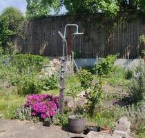 Kleingarten Schrebergarten zur Übernahme (KGV Flugplatz Übigau) - Dresden Pieschen