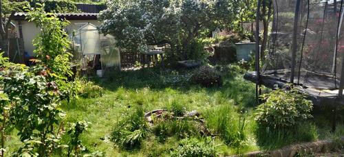 Foto - Grundst&uuml;ck in Dresden