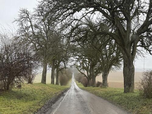 Foto - andere zur Miete in Sinsheim