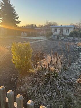Foto - Gepflegter Kleingarten in Querfurt