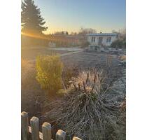 Gepflegter Kleingarten in Querfurt