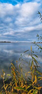 Foto - Einfamilienhaus in Neppermin - 290.000,00&nbsp;EUR Kaufpreis, ca.&nbsp; 105,00&nbsp;m&sup2;