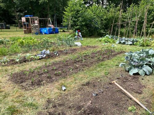 Foto - Grundstück zur Miete – Ideal für Gemüseanbau und Freizeit